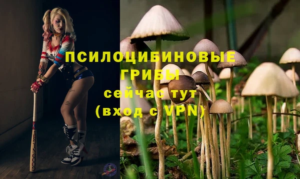 мяу мяу кристалл Богородск