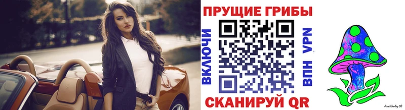 Псилоцибиновые грибы Magic Shrooms  где продают   ссылка на мегу ONION  Братск 